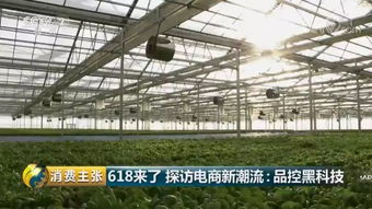 品控黑科技 央視《消費主張》探訪京東植物工廠的財務(wù)智慧