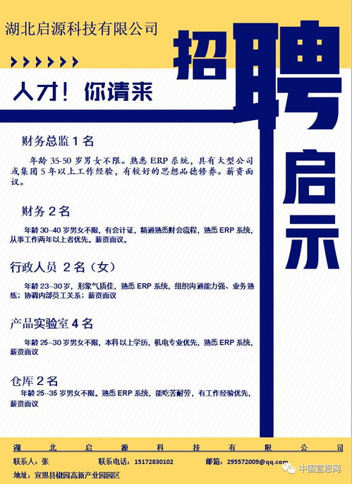 財務部門 企業穩健運營的核心支柱——從招聘需求看財務管理的重要性